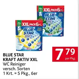 Transgourmet Blue Star Kraft Aktiv XXL WC Reiniger Angebot