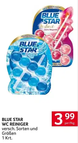Transgourmet Blue Star WC Reiniger Angebot