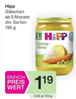 Bipa Hipp Gläschen ab 5 Monate Angebot