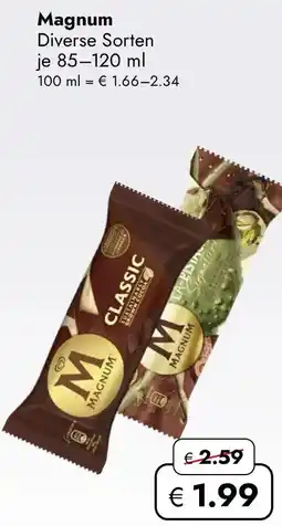 Travel FREE Magnum Angebot