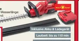 Woolworth Wolf Garten Akku-Heckenschere Angebot