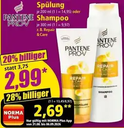 Norma Pantene Pro-V Repair & Care Angebot