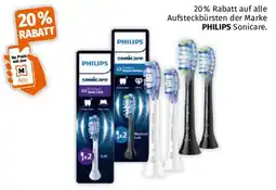 Müller PHILIPS Sonicare Aufsteckbürsten Angebot