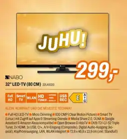 Expert NABO 32" LED-TV (80 CM) Angebot