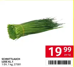 Transgourmet Schnittlauch Angebot