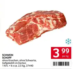 Transgourmet Schwein Schopf Angebot