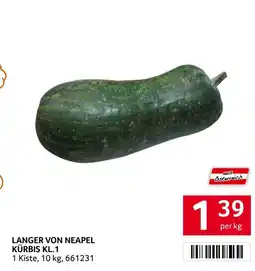 Transgourmet Langer von Neapel Kürbis Kl.1 Angebot