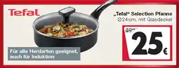 Woolworth Tefal Selection Pfanne Angebot