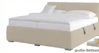 Möbelix Polsterbett Lesia Angebot