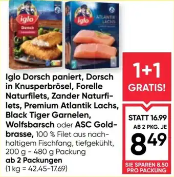 Iglo Dorsch paniert, Dorsch in Knusperbrösel, Forelle Naturfilets, Zander Naturfilets, Premium Atlantik Lachs