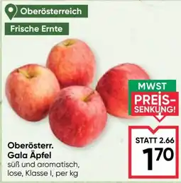 Maximarkt Oberösterr. Gala Äpfel Angebot
