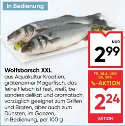 Maximarkt Wolfsbarsch XXL Angebot