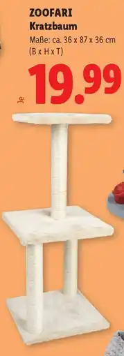 Lidl Zoofari Kratzbaum Angebot