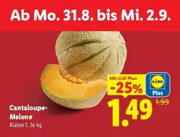 Lidl Cantaloupe-Melone Angebot