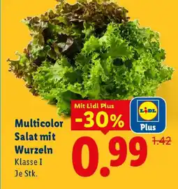 Lidl Multicolor Salat mit Wurzeln Angebot