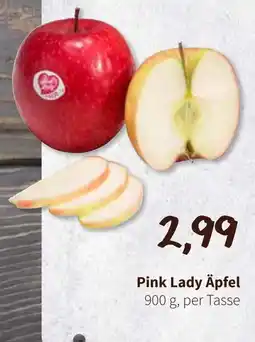 Eurogast Grissemann Pink Lady Äpfel Angebot