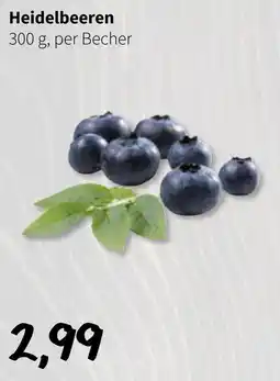 Eurogast Grissemann Heidelbeeren Angebot