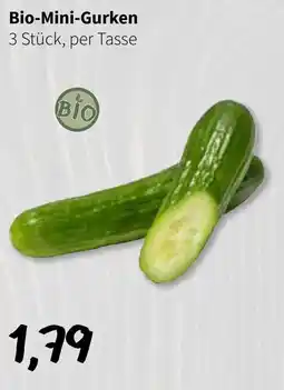 Eurogast Grissemann Bio-Mini-Gurken Angebot