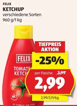 Hofer Felix Ketchup Angebot