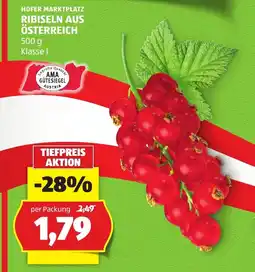 Hofer Ribiseln aus Österreich Angebot