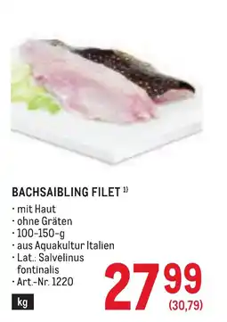 Metro Bachsaibling Filet Angebot
