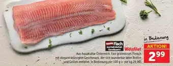 Welsfilet