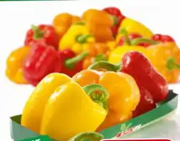Eurospar Spar Paprika-Mix Angebot
