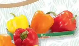 SPAR Gourmet Spar Paprika-Mix Angebot