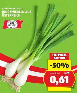 Hofer Hofer marktplatz jungzwiebeln aus österreich Angebot