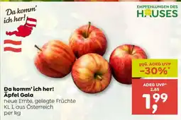 ADEG Äpfel Gala Angebot