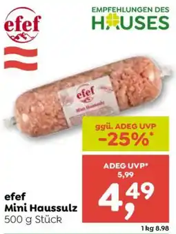 ADEG efef Mini Haussulz Angebot