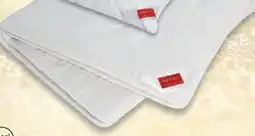 Matratzen Concord HEFEL Mono-Steppbett Angebot