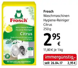 dm Frosch Waschmaschinen Hygiene-Reiniger Angebot
