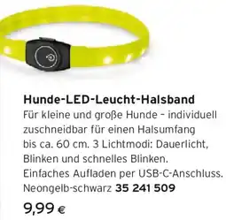 Tchibo Eduscho Hunde-LED-Leucht-Halsband Angebot