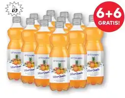 T&G Silberquelle 10 Vitamine Angebot