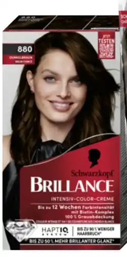 dm Schwarzkopf Brillance Haarfarbe Angebot