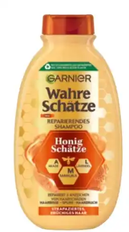 dm Garnier Wahre Schätze Shampoo Angebot