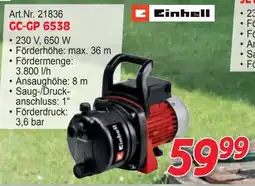 Zgonc Einhell GC-GP 6538 Angebot