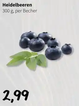 Der Grissemann Heidelbeeren Angebot
