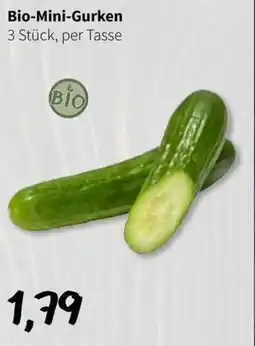 Der Grissemann Bio-Mini-Gurken Angebot