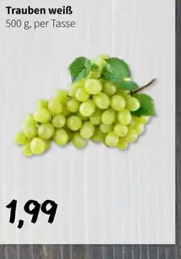 Der Grissemann Trauben weiß Angebot