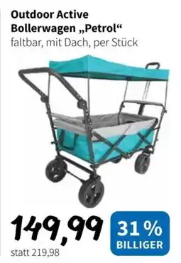 Der Grissemann Outdoor Active Bollerwagen „Petrol“ Angebot
