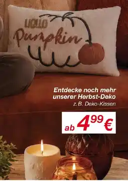KiK Deko-Kissen Angebot