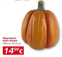 KiK Magnesium Deko-Kürbis Angebot