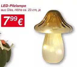 KiK LED-Pilzlampe Angebot