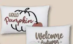 KiK Kissen Herbst Angebot