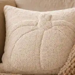 KiK Kissen Kürbis Angebot
