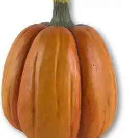KiK Deko Kürbis Angebot