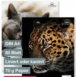 Woolworth Stenzer Collegeblock Angebot