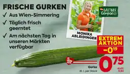 Billa Gurke Angebot